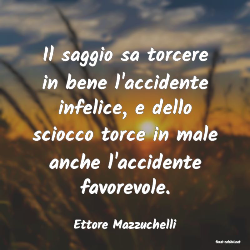 frasi di Ettore Mazzuchelli