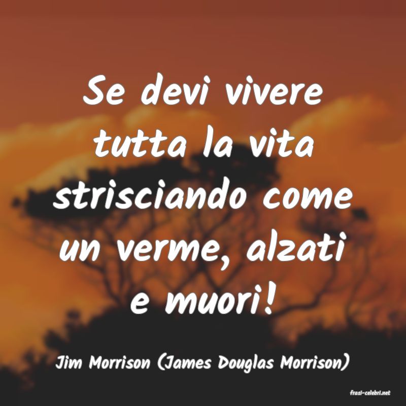 frasi di Jim Morrison (James Douglas Morrison)