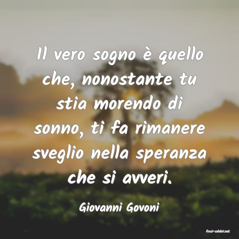 frasi di  Giovanni Govoni
