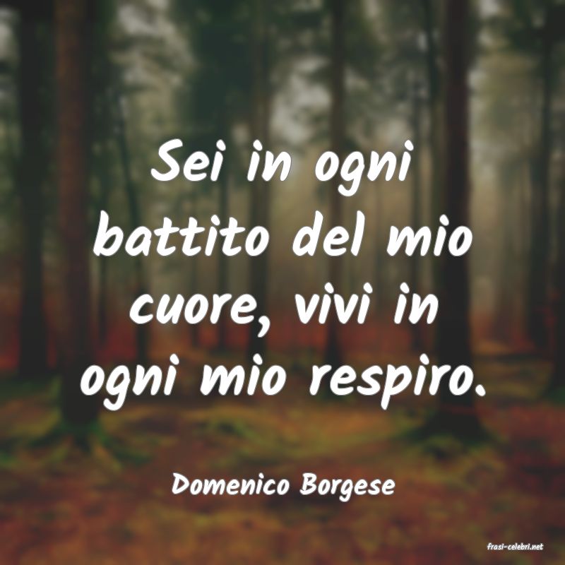 frasi di  Domenico Borgese
