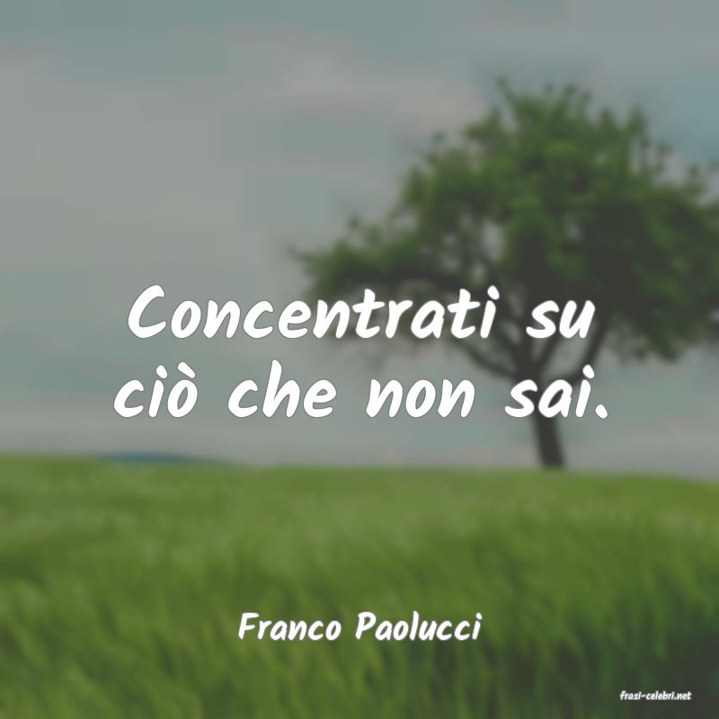 frasi di  Franco Paolucci
