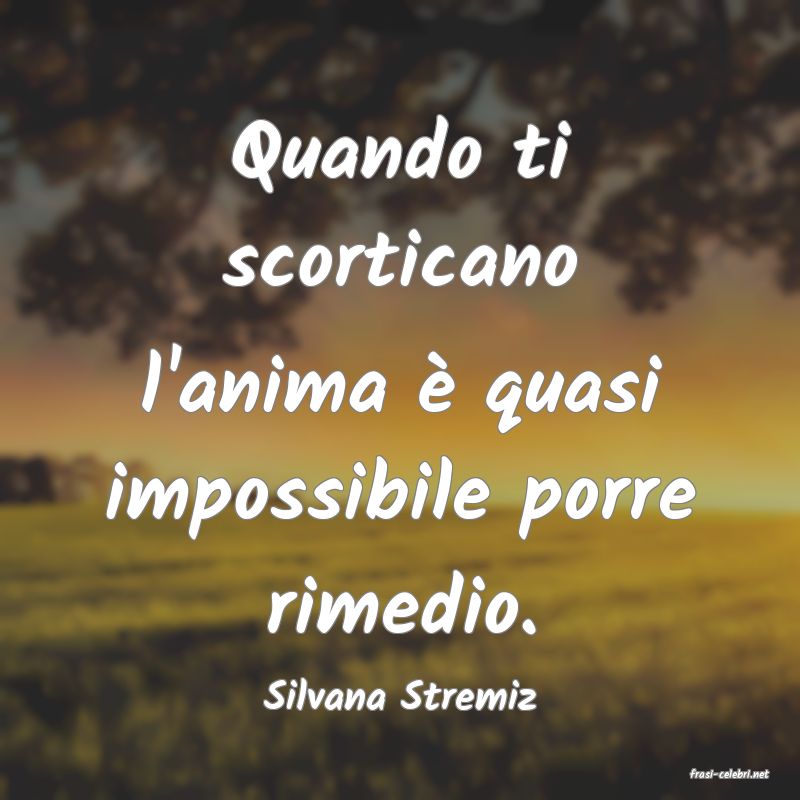 frasi di  Silvana Stremiz
