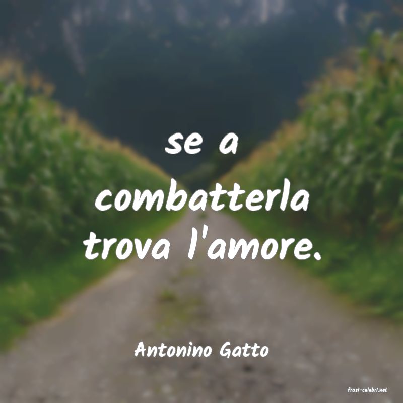frasi di  Antonino Gatto
