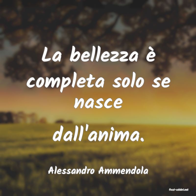 frasi di  Alessandro Ammendola
