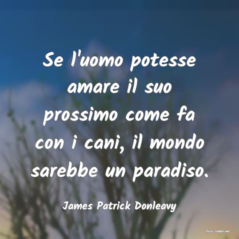 frasi di  James Patrick Donleavy
