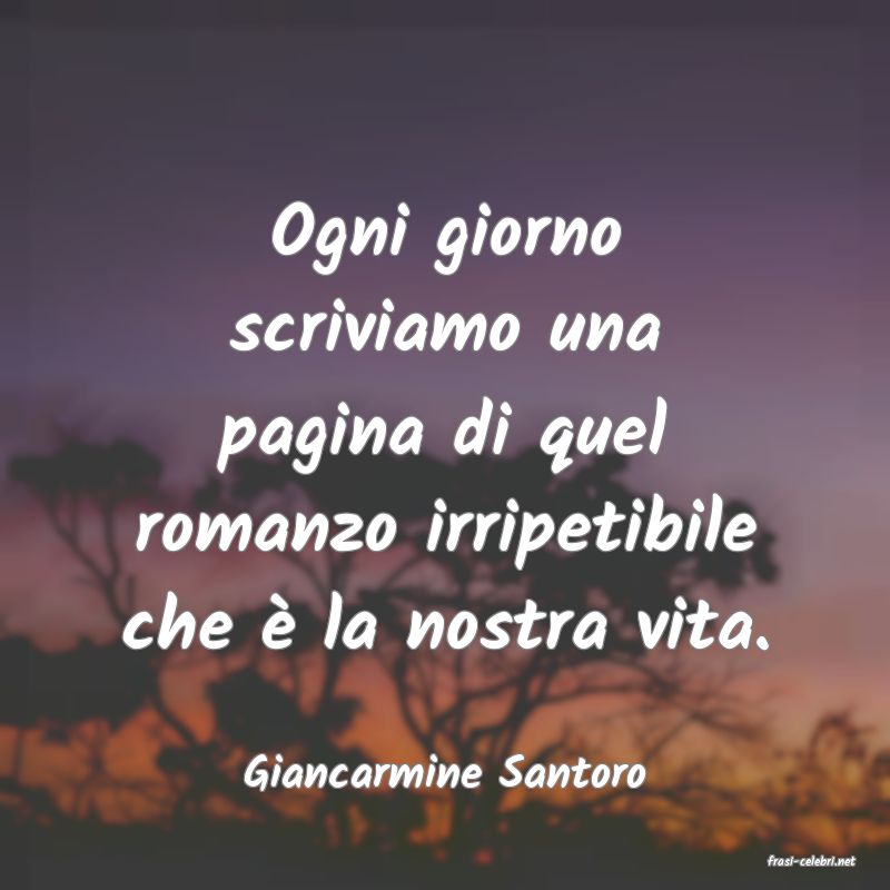 frasi di  Giancarmine Santoro
