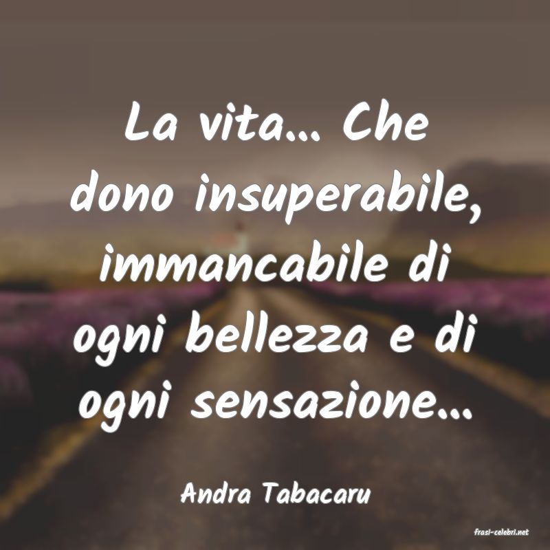 frasi di Andra Tabacaru