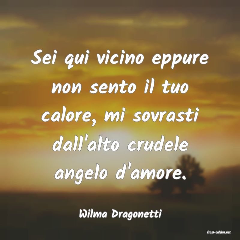 frasi di Wilma Dragonetti