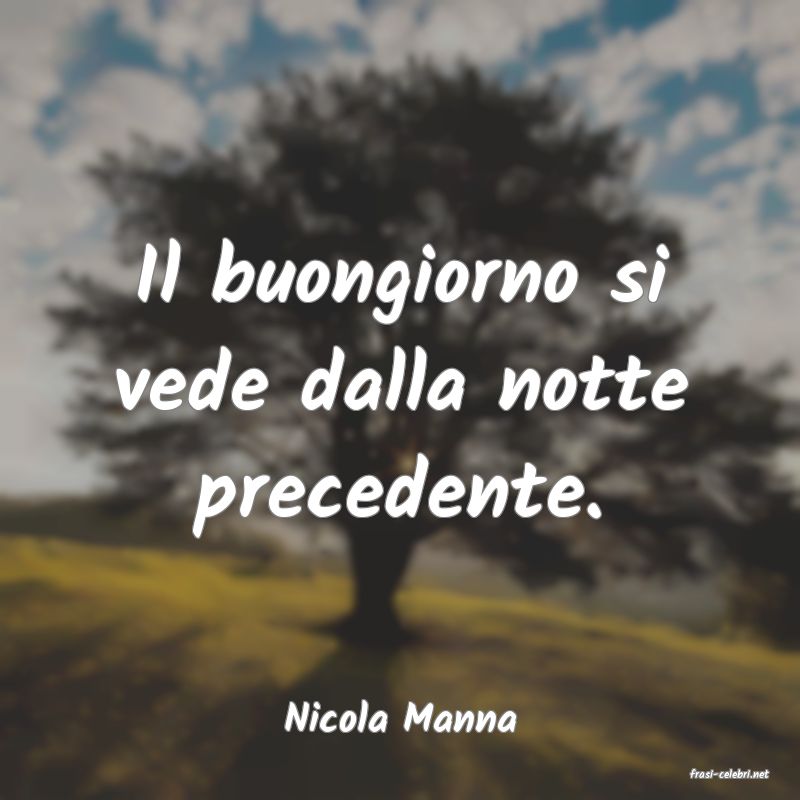 frasi di Nicola Manna