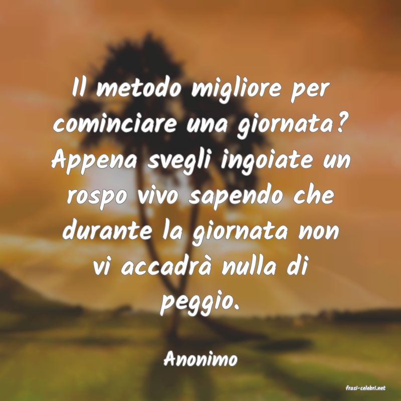 frasi di Anonimo