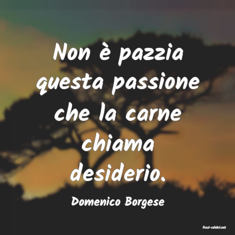 frasi di  Domenico Borgese
