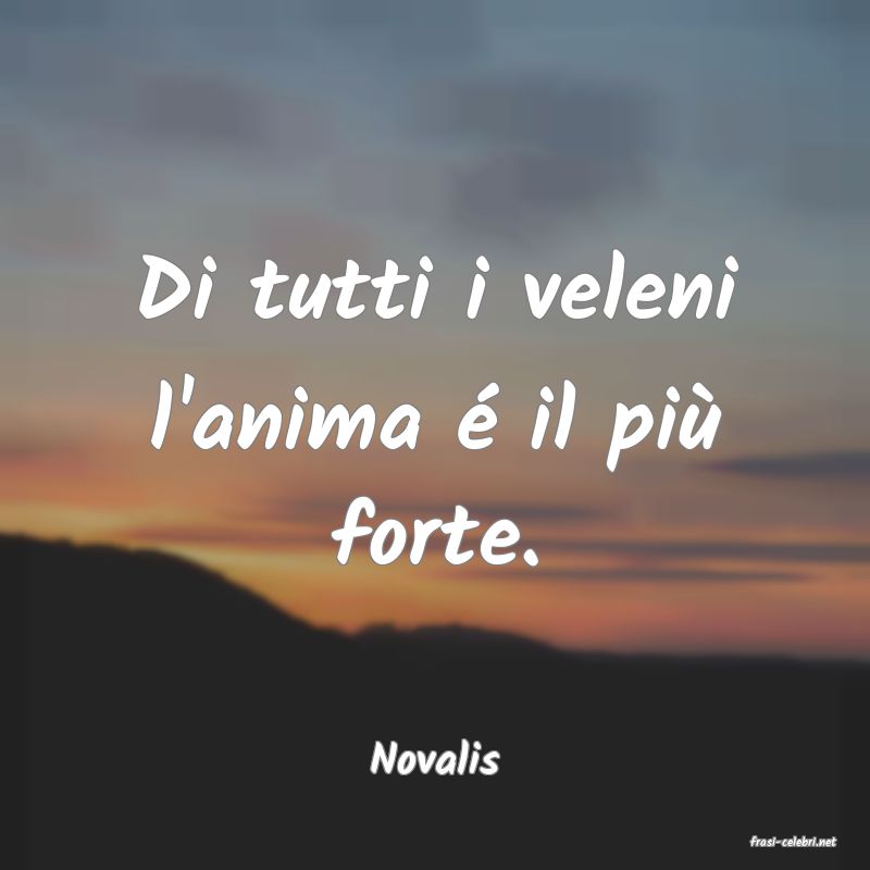 frasi di  Novalis

