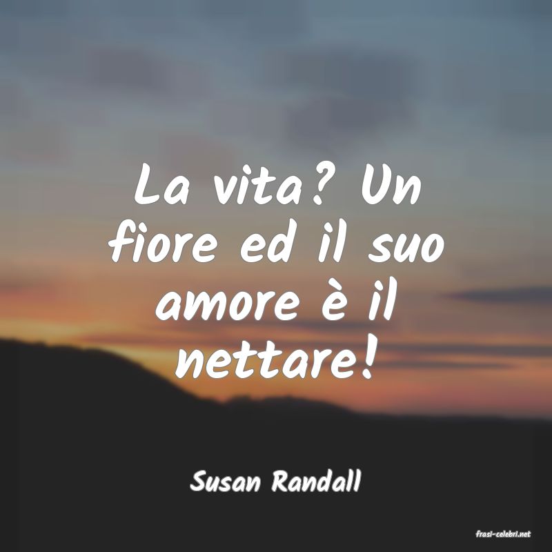 frasi di  Susan Randall
