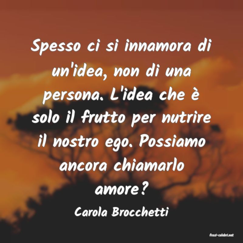frasi di  Carola Brocchetti
