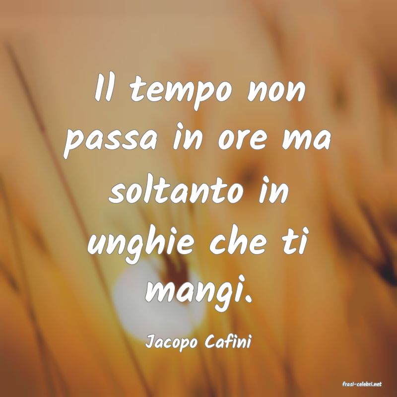 frasi di  Jacopo Cafini

