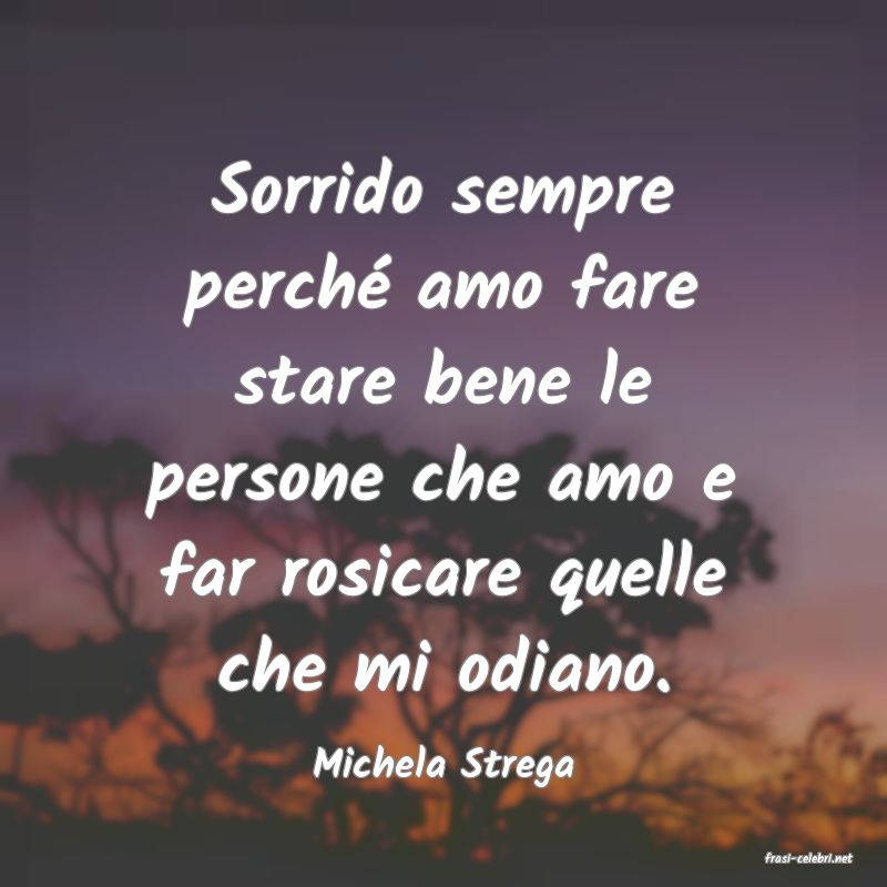 frasi di  Michela Strega

