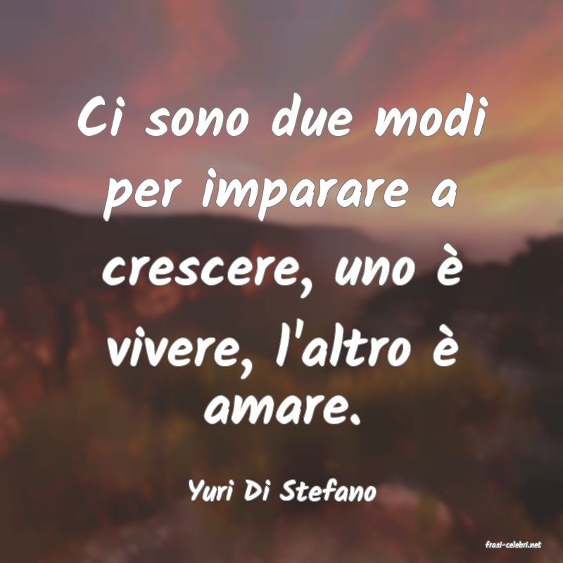 frasi di  Yuri Di Stefano
