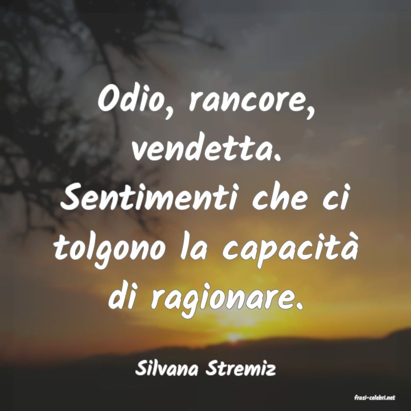 frasi di Silvana Stremiz