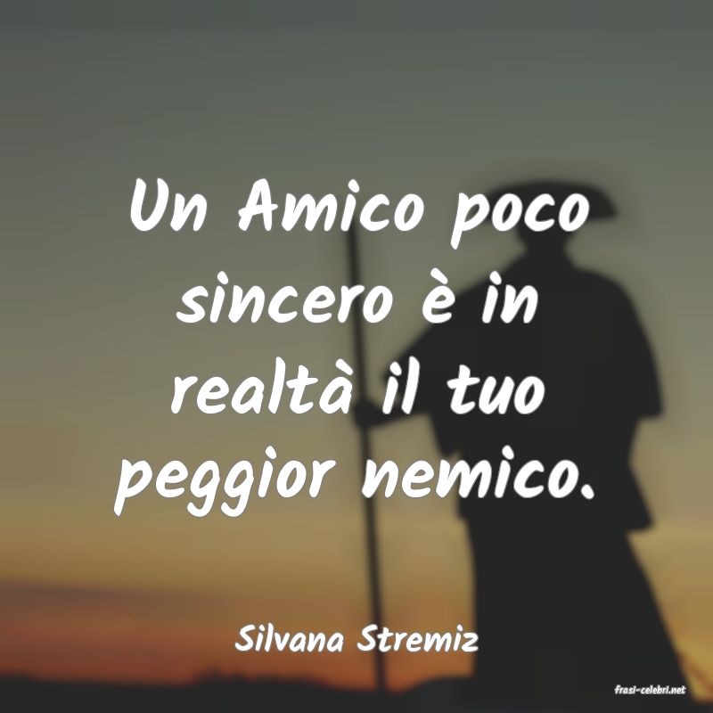 frasi di Silvana Stremiz