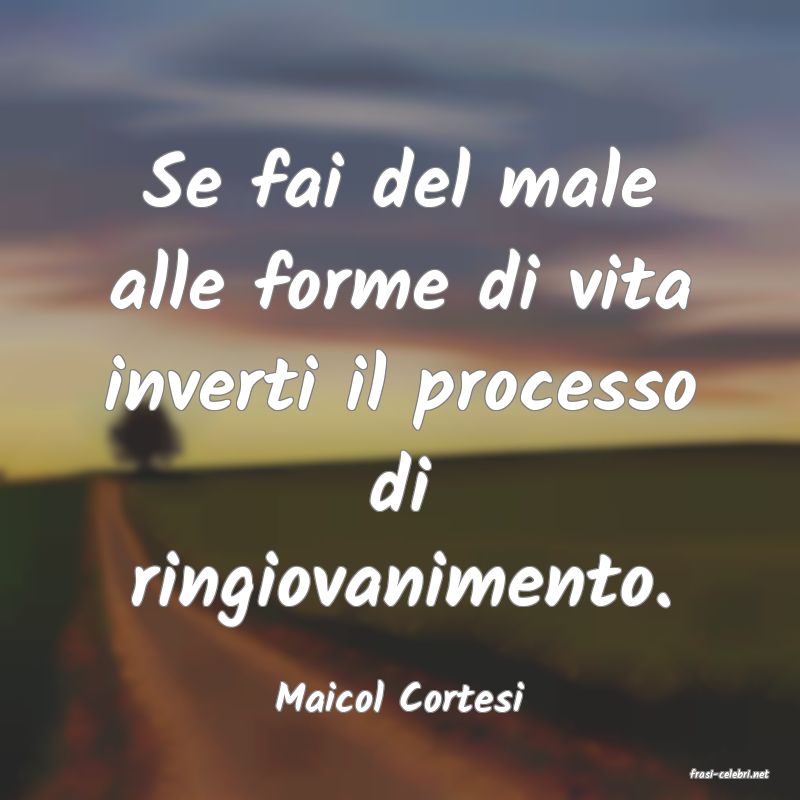 frasi di  Maicol Cortesi
