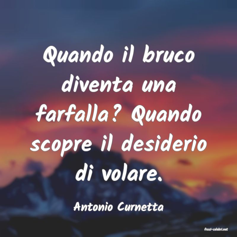 frasi di  Antonio Curnetta
