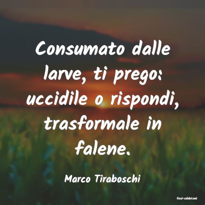 frasi di  Marco Tiraboschi
