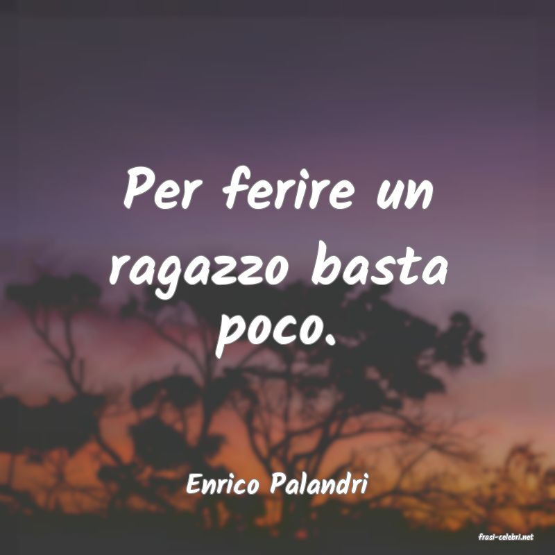 frasi di  Enrico Palandri

