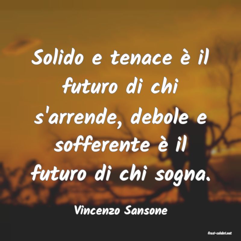 frasi di  Vincenzo Sansone
