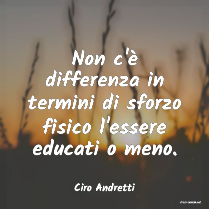 frasi di Ciro Andretti