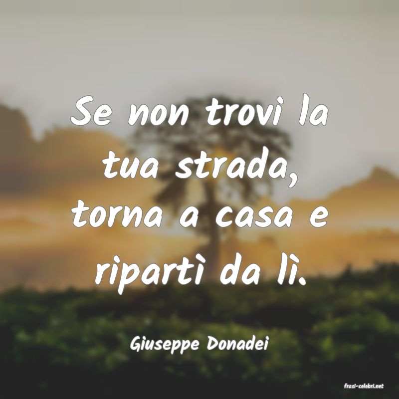 frasi di  Giuseppe Donadei
