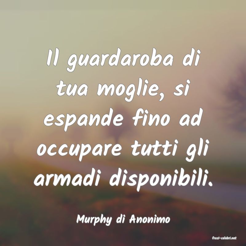 frasi di Murphy di Anonimo