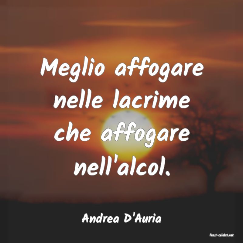 frasi di Andrea D'Auria