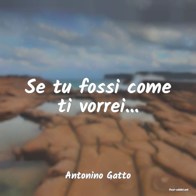 frasi di Antonino Gatto
