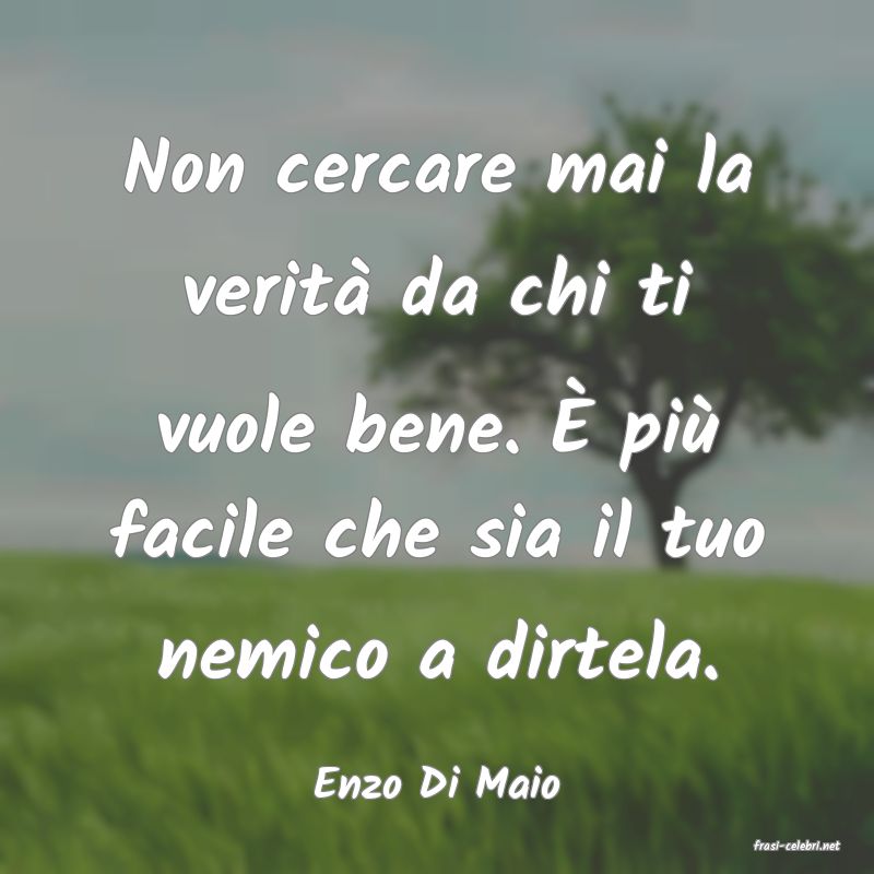 frasi di Enzo Di Maio