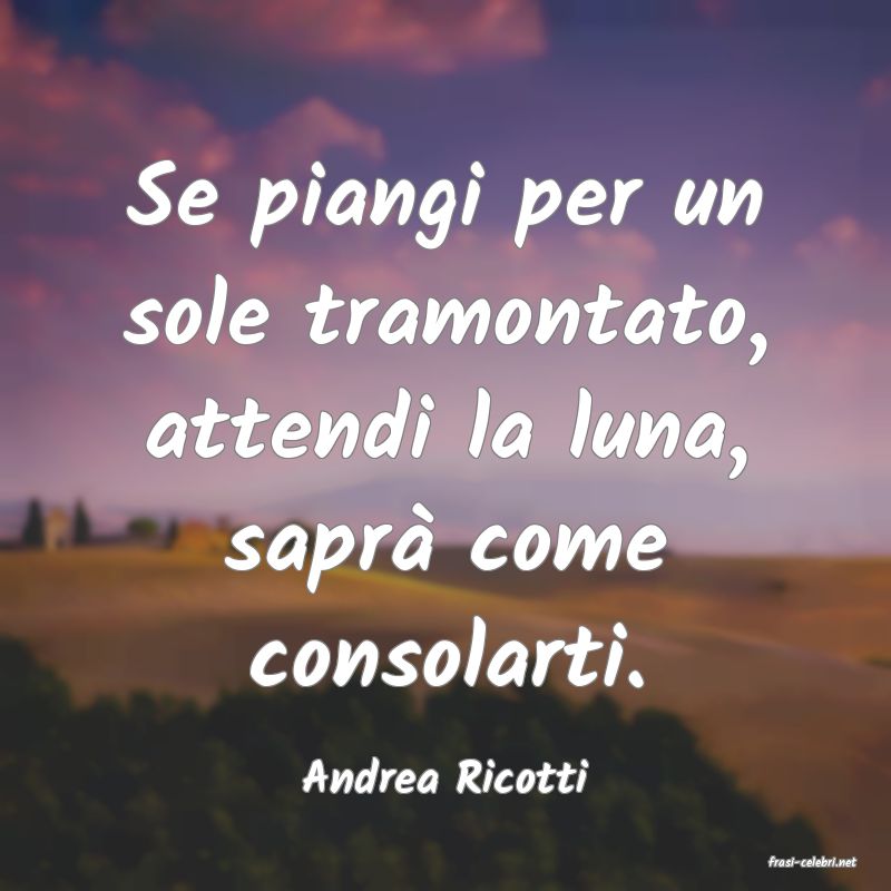 frasi di  Andrea Ricotti
