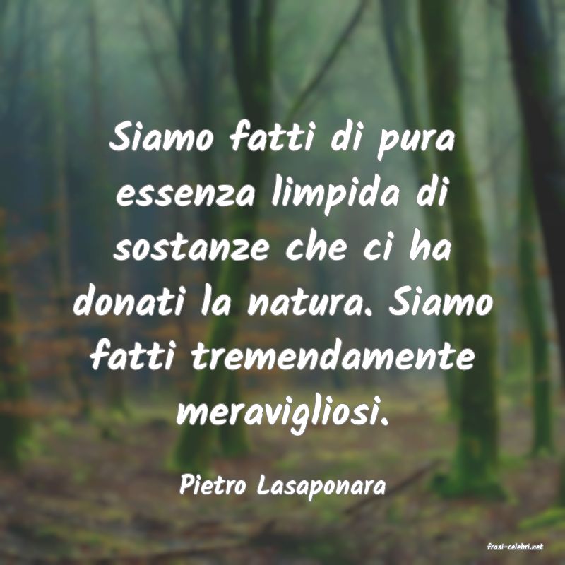 frasi di  Pietro Lasaponara
