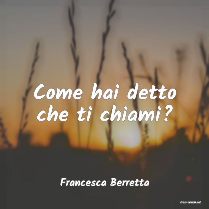 frasi di  Francesca Berretta
