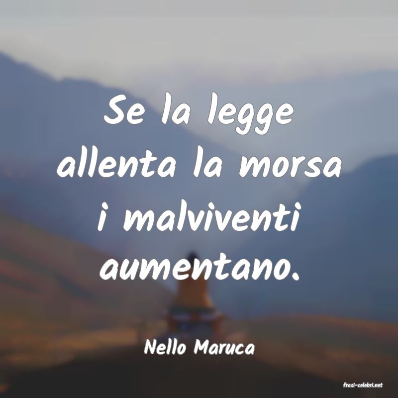 frasi di  Nello Maruca
