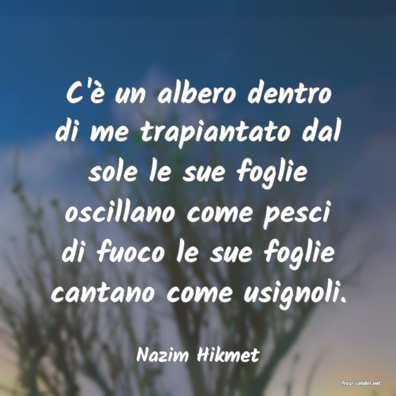 frasi di Nazim Hikmet