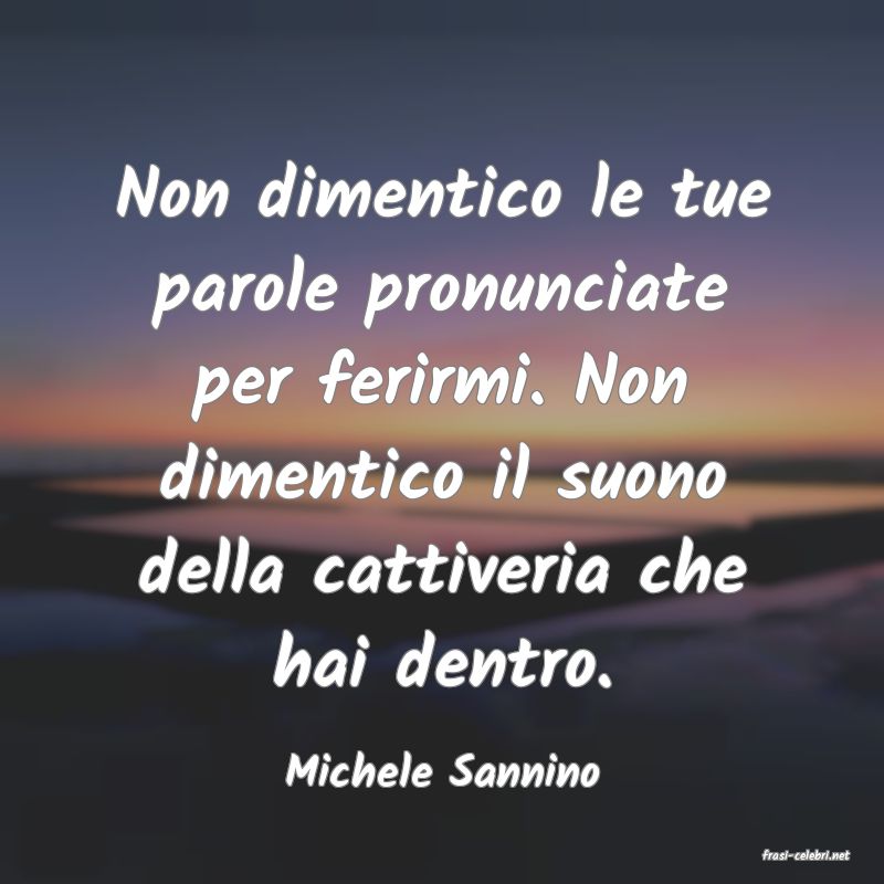frasi di  Michele Sannino
