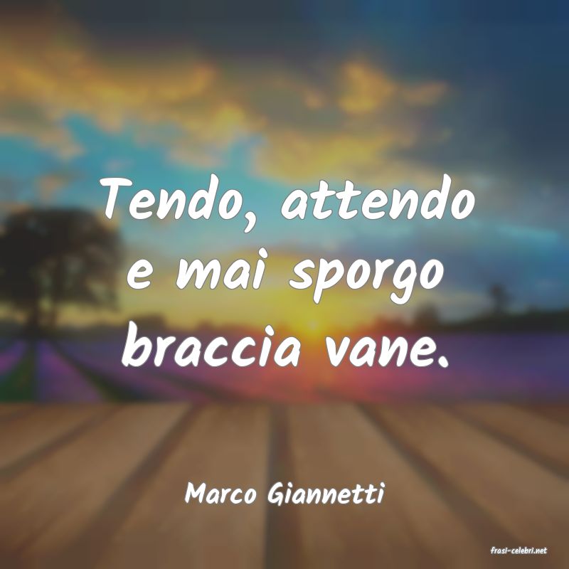 frasi di  Marco Giannetti
