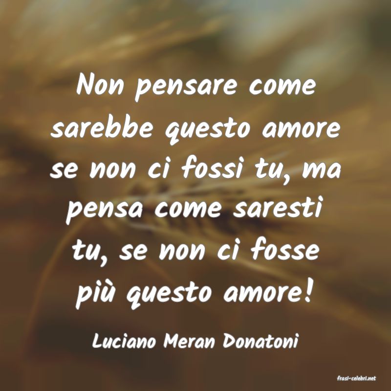 frasi di Luciano Meran Donatoni