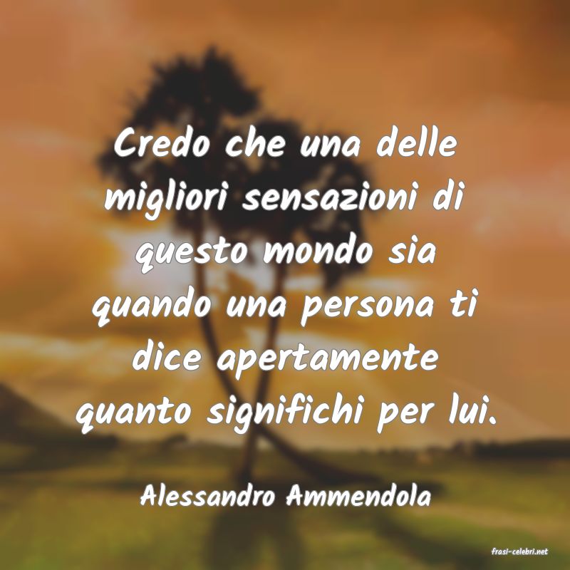 frasi di  Alessandro Ammendola
