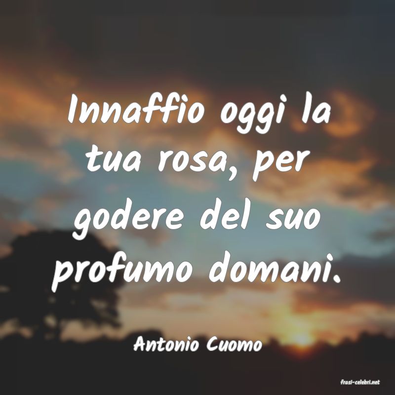 frasi di  Antonio Cuomo
