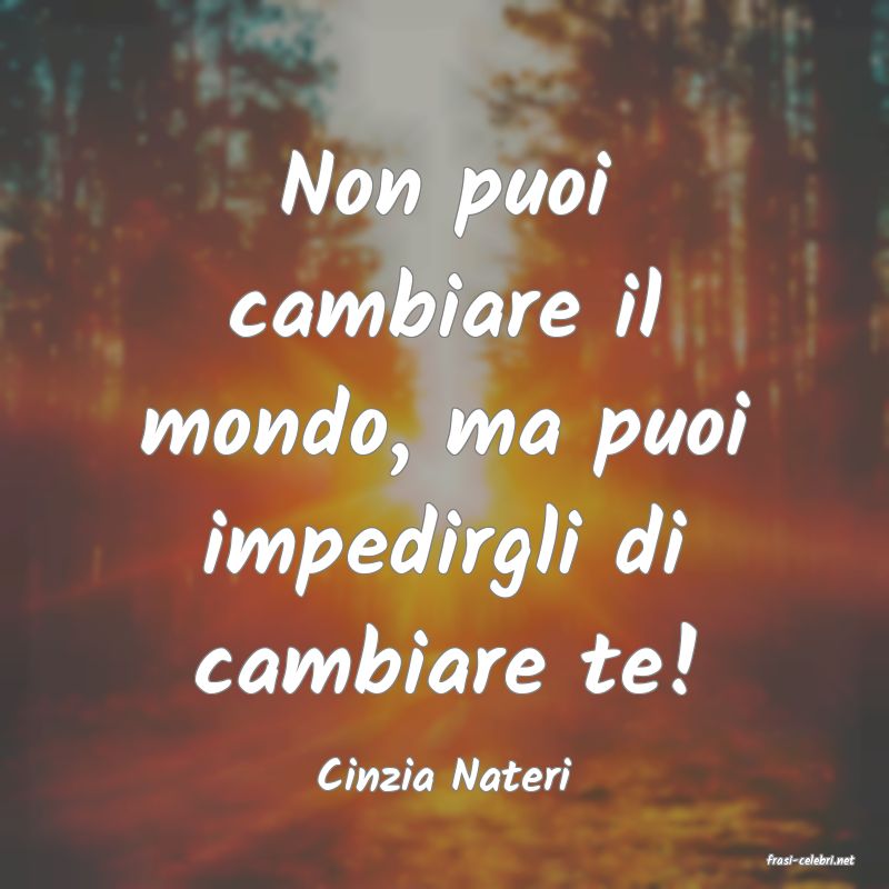 frasi di  Cinzia Nateri
