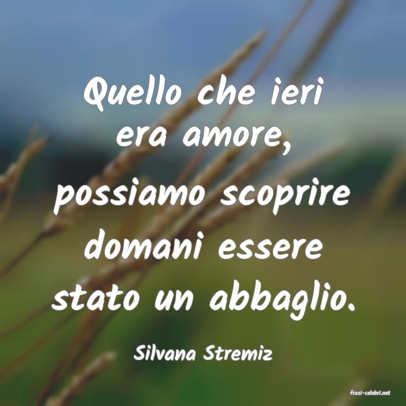 frasi di  Silvana Stremiz
