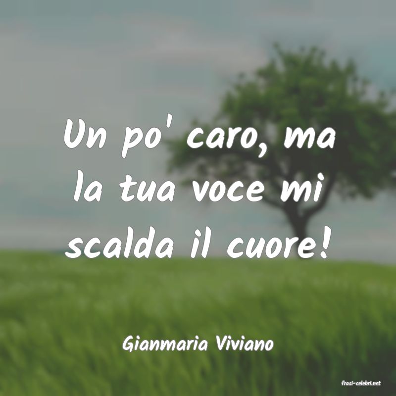 frasi di  Gianmaria Viviano

