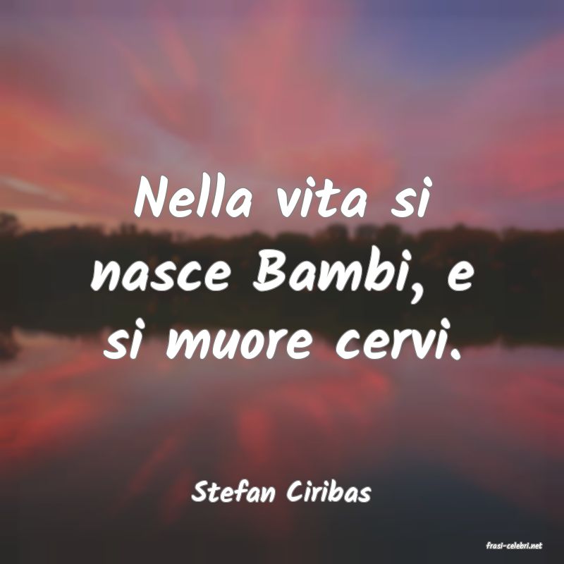 frasi di  Stefan Ciribas

