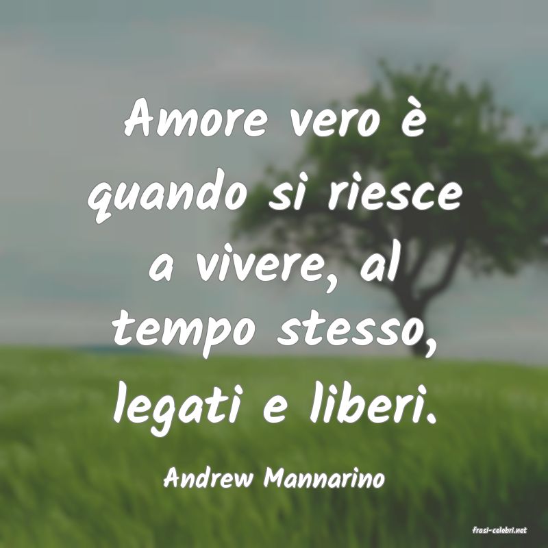 frasi di  Andrew Mannarino
