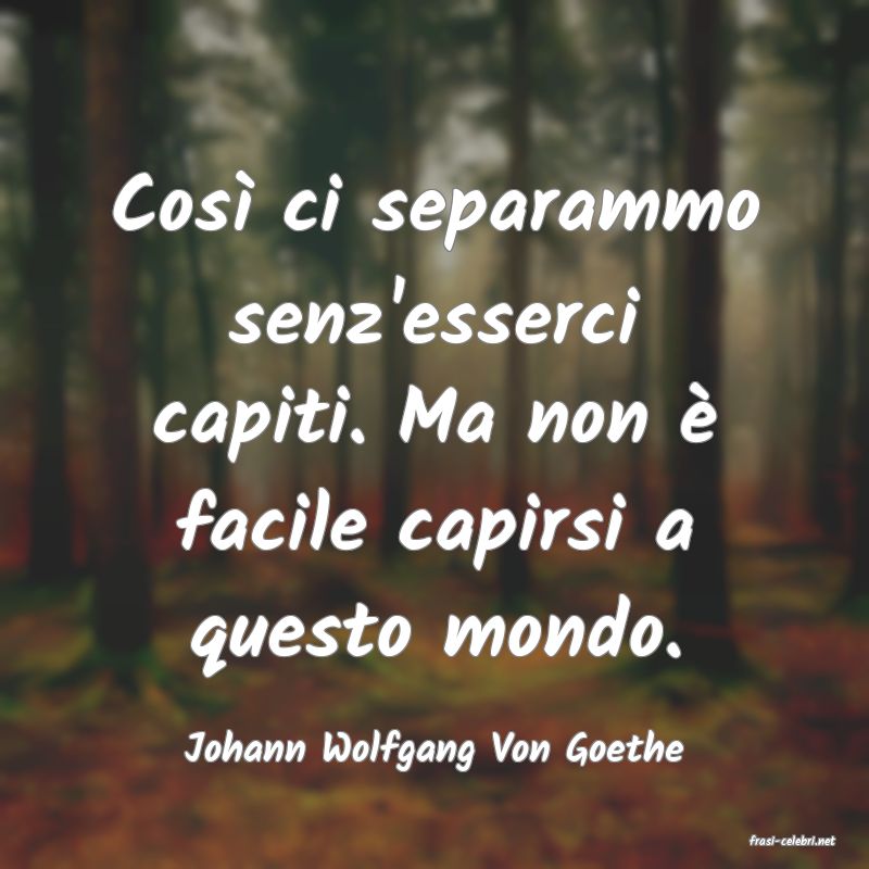 frasi di  Johann Wolfgang Von Goethe

